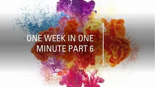 One Week in One Minute Part 6 #rise&thrive #@Risethrive-2.0 #shorts #motivatioanlquotes