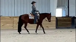 L1 Youth Horsemanship @  AQHA Gulf Coast 2026 go 1