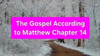 Reading Aloud 📚 Matthew 14