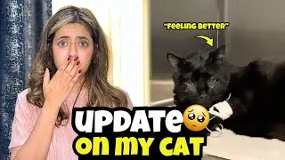 Keep praying for chippy 😣 Ayat is back from break 😁
