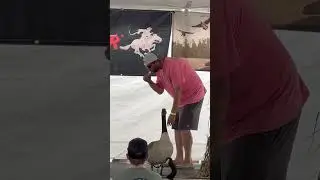 Coyote Creek Meat Calling Contest running a Uhlenhopp Game Calls Mud Hen