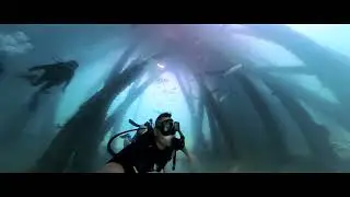 6/10/2023 Puerto Rico, Vieques, Mosquito Pier