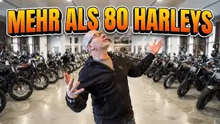 MEHR ALS 80 HARLEYS IM SHOP! 😳 Welche w&uuml;rdest DU nehmen?