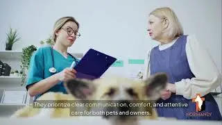 Emergency Vet in Jacksonville, FL | Normandy Animal Hospital