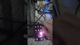 Model TYR Pedal. (Coda Effects Back Hole DIY)