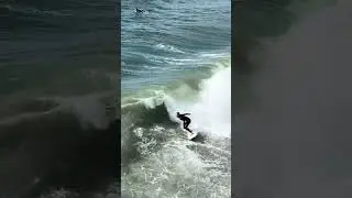 Surfing SD