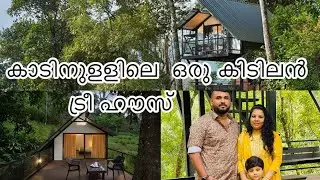 Tree house|Bamboo dale resort|Bison valley|Plantation resort|Munnar|Couples|bachelors|Family|vlog#4