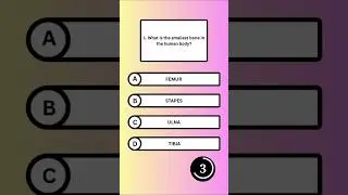 Mind Spark The Ultimate Curiosity Quiz