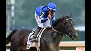 Breeders&rsquo; Cup Classic 2025 Preview: The Top Contenders