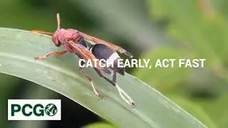 Ultimate Home Pest Control Guide &ndash; Expert Tips You Need
