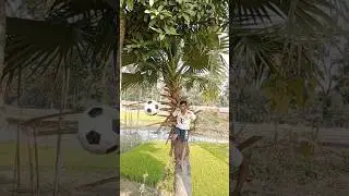 FIFA best football video 😱 #football #shorts #indonesia #india #messi #cr7