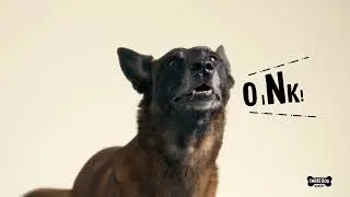Bark N' Crunch Chicken Chips Video