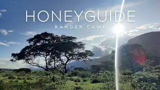 Bushveld with the girls / Honeyguide Ranger Camp, Limpopo