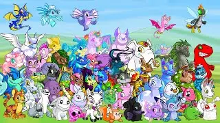 Top Most Created Pets on Neopets (With Background Music) | NeoFaerie