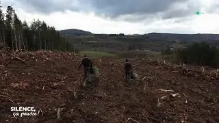 Portrait : Alix, chargée des travaux en sylviculture - Silence, ça pousse !