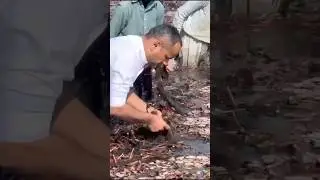 Сбор водяных каштанов | Рецепт Сангары | Секреты деревенской кухни (короткий рассказ) | Мубашир С...