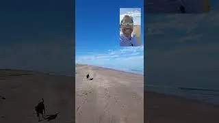 Playa El Mogote with Sadie-dawg