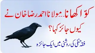 Kawwa Khana Jaiz Ya Haram? Maulana Ahmad Raza ka Hairat Angez Fatwa!