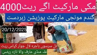 Makki munji gandam price today| till Sarso bajra| ghalla mandi rate today