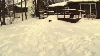 Graham cam winter