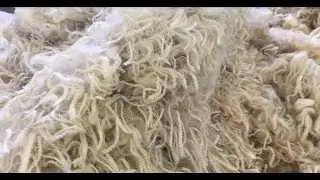 Apparel Dohne Wool