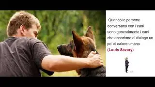 Cani con frasi Dedicate