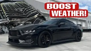 Еду на своём Mustang S650 мощностью 1000 л.с. в морозную погоду! ОПАСНО!!