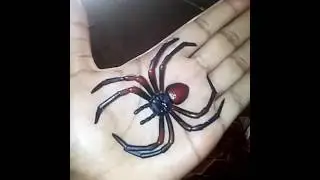 Holding a big spider in my hand