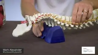 Why BakPhysio products are so effective