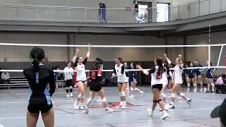 College Volleyball Tournament Fairfield University Canon Vixia HF G70 4k Sports Videos #canong70