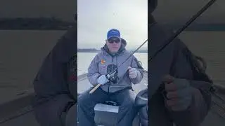 Dobyns Rods most versatile! Champion XP 734C FH!