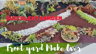 Signature Design Garden Make over....Succulent Garden......