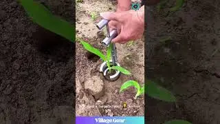 Perfect Plant Plug Popper! 🌱 So Satisfying It Should Be Illegal! 😂 #satisfying #gardening