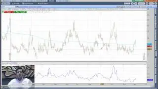 Nick Fenton Discusses His Options Capital Deployment Practices (portfolio allocation)
