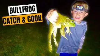 Campground LOADED with BULLFROGS | how to hunt bullfrogs Catch & Cook | Jay Pea Outdoors