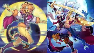 Lunalight Deck Profile - August 2025