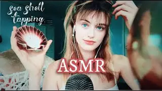 ASMR - Shell Tapping 🐚  + subtle Mouth Sounds 👅