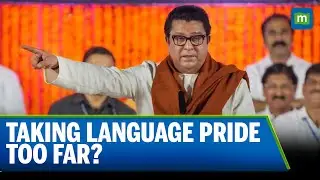 MNS Workers' Violence: Language Pride or Lawlessness? | Maharashtra Language Row