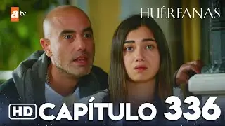 Hu&eacute;rfanas - Cap&iacute;tulo 336