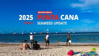 Punta Cana Seaweed Update (July 29, 2025) - Beach Report - Dreams, Paradisus, Melia, Lopesan