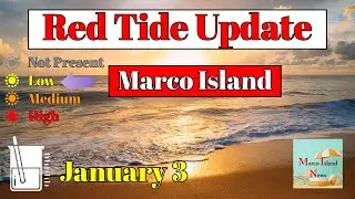 Red Tide Update January 3rd Marco Island News