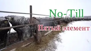 Пятый элемент в No-Till
