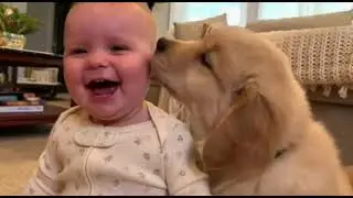 Baby Laughs, Puppy Reacts &mdash; TOO CUTE! 😍🥰❤️😅