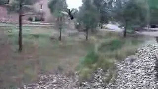 Test Movie