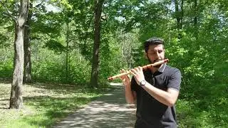 Duniyaa Flute Instrumental | Luka Chuppi | Samip | Akhil | Dhvani Bhanushali