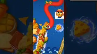 wormsmate.io🚴&zwj;♂️🚴&zwj;♂️