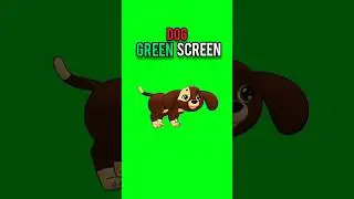 Cartoon dog green screen‼️#dailygreenscreen