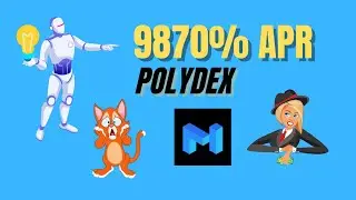 PolyDex Exchange el pr&oacute;ximo competidor de Polycat - Yield Farming en Polygon