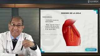 USA MEDIC Anatomía 1