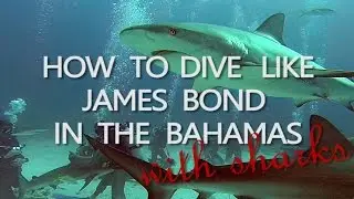 Dive like James Bond 007 in the Bahamas